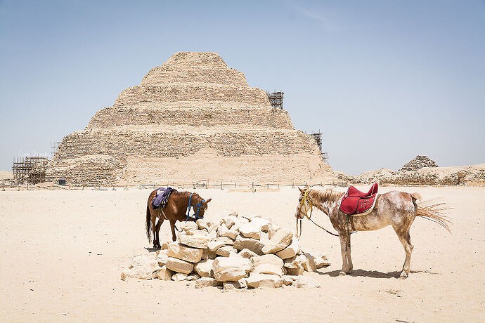 Carnet de voyage : une semaine en Egypte - minibou