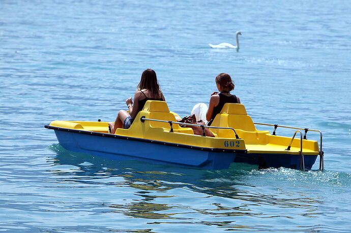 1200px-Pedalo_IMG_2877