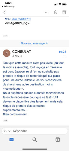 Re: Safari cet été en Tanzanie. Vous annulez? Covid19 - Alexis-Sanchez