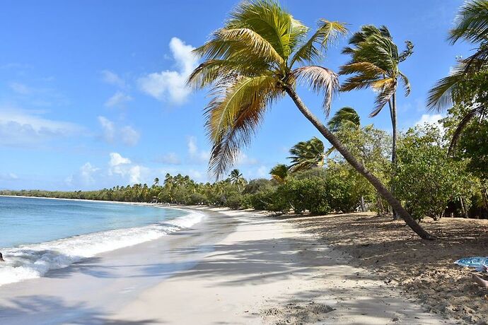 Re: Voyage Martinique 2019 - Marilouisa