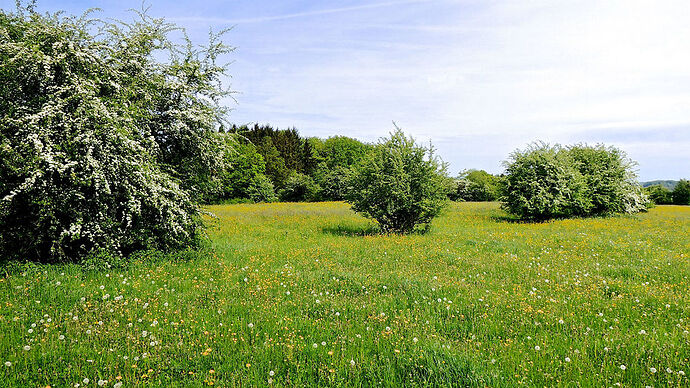 photos randonnées en Ardennes belges - nicolasDB