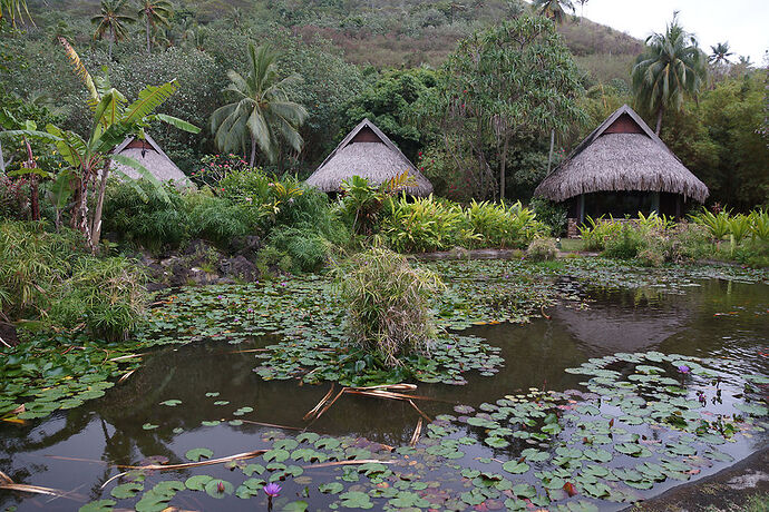 Retour sur découverte de Moorea 1 - cartesien