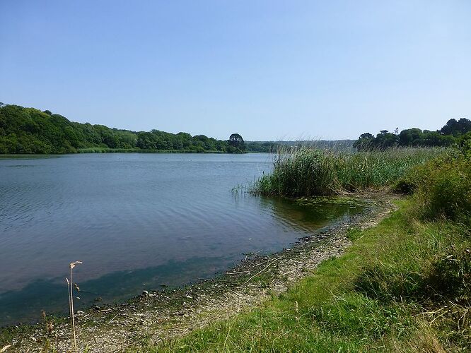 Carnet de voyage, une semaine sous le soleil de Bretagne - Fecampois