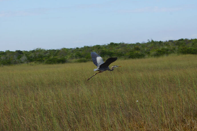 Découverte de le FLORIDE - Les KEYS & Les EVERGLADES - cartesien