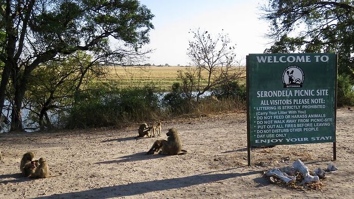 Re: NAMBOTSVIC Namibie- Botswana- Victoria Falls, 3 semaines magiques - PATOUTAILLE