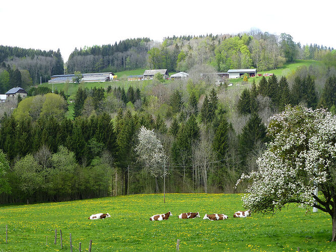 Re: Carnet de voyage, une semaine dans les Alpes au printemps  - Fecampois