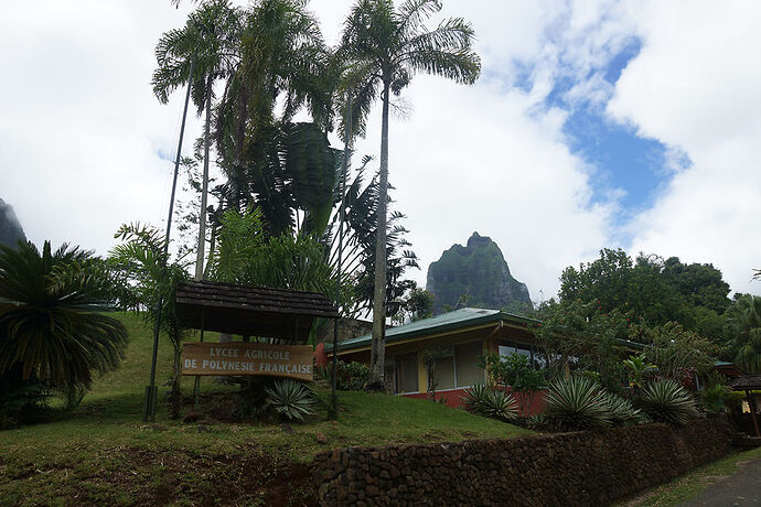 Retour sur découverte de Moorea 1 - cartesien