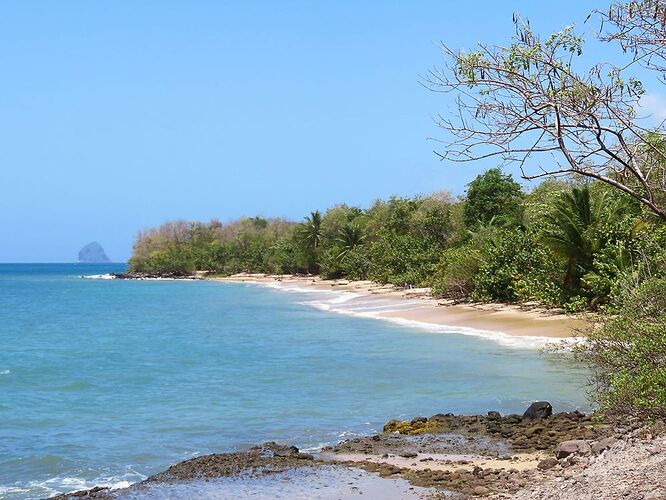 Idées randonnées en Martinique : 9 incontournables !  - Kikisbackpackingtour
