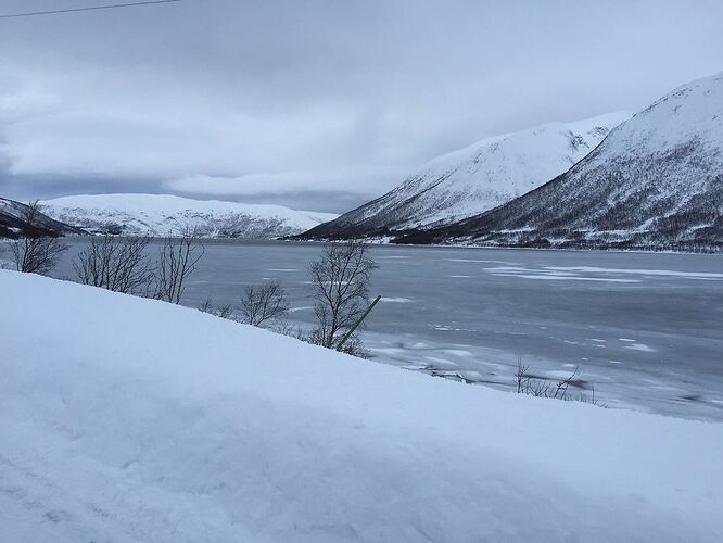 Retour sur une semaine passée au nord de la Norvège en février - Pimprennelle33 Retour sur une semaine passée au nord de la Norvège en février - Pimprennelle33