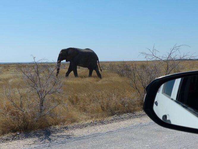 Re: 3 fabuleuses semaines Namibiennes- juillet 2021 - Patbillvoyage