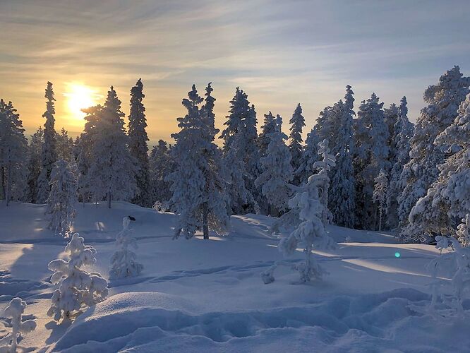 Laponie Finlandaise - 5 jours d'émerveillement - Nicolas-Locque