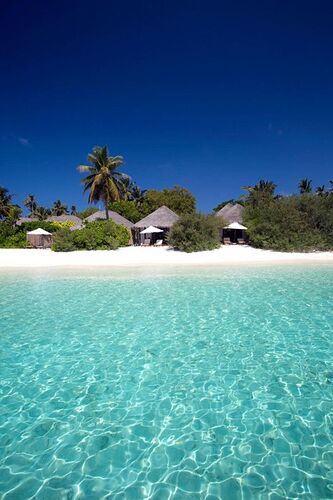 Météo du 29 Janvier 2021 - Philomaldives Ex guide Safaris