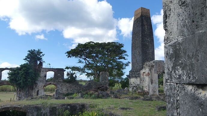 Re: Retour 2 semaines en Guadeloupe - michele87