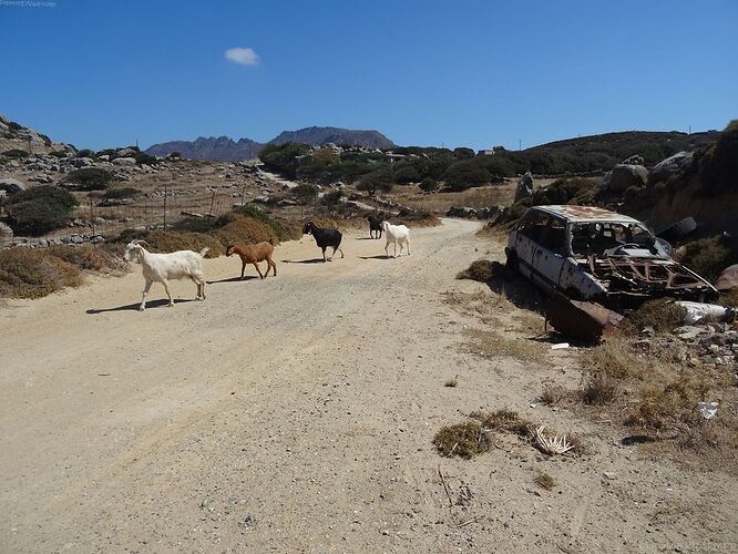 Coup de coeur pour l'île de Tinos - PepetteEnVadrouille