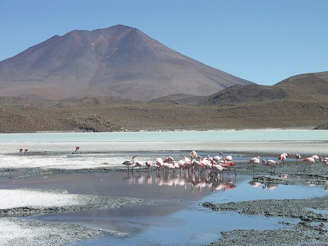 Re: 1 mois et demi Pérou - Bolivie - Chili - Ile de Pâques - Terre de Feu - yensabai Re: 1 mois et demi Pérou - Bolivie - Chili - Ile de Pâques - Terre de Feu - yensabai