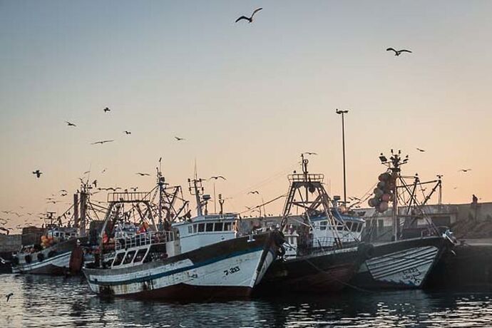 5 jours à Essaouira, une des perles de l'Atlantique, récit et photos - Sonia-Fatima Chaoui