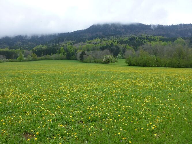 Re: Carnet de voyage, une semaine dans les Alpes au printemps  - Fecampois