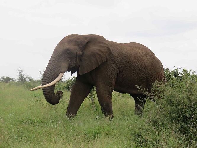 Retour de notre séjour de 12 jours en Afrique du Sud lors des vacances de Pâques 2018 - KikiL