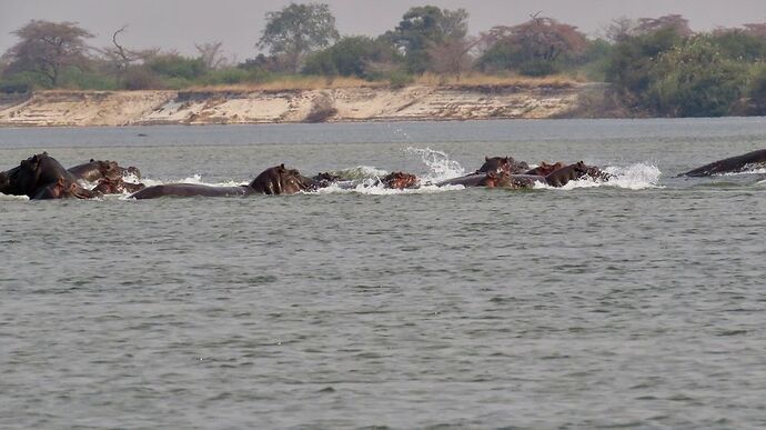 Re: NAMBOTSVIC Namibie- Botswana- Victoria Falls, 3 semaines magiques - PATOUTAILLE