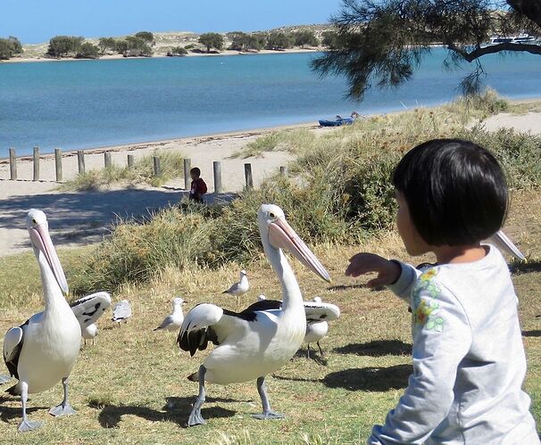 Re: Australie 2017, Côte Ouest de Broome à Perth - PATOUTAILLE