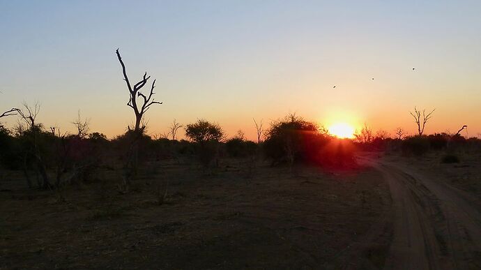 Re: NAMBOTSVIC Namibie- Botswana- Victoria Falls, 3 semaines magiques - PATOUTAILLE