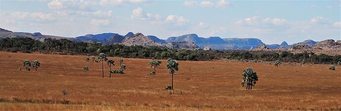 4 semai,es en 4x4 à Madagascar - PIHIEN