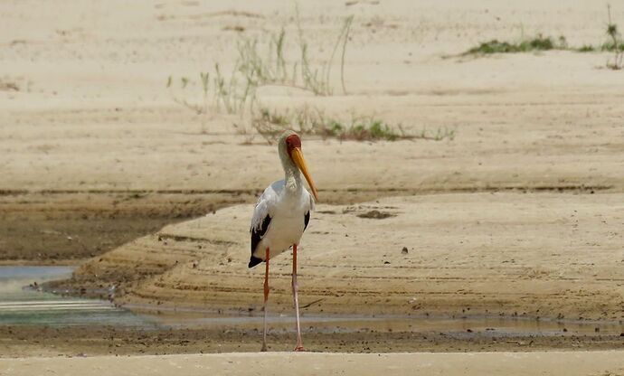 Re: NAMBOTSVIC Namibie- Botswana- Victoria Falls, 3 semaines magiques - PATOUTAILLE