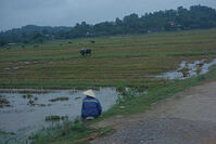 Comment grandir au Laos? - Mia 4