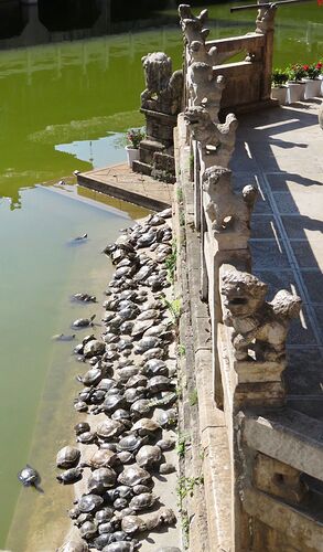 Dernier jour à Kunming. - PATOUTAILLE