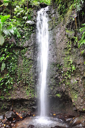 GRG1_Guadeloupe - ECOKALITE