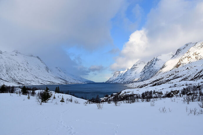 Re: De Tromsø aux îles Lofoten - 11 jours de road trip arctique - sebnella