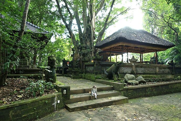 Java, Bali et Lombok - Alain Delvigne Java, Bali et Lombok - Alain Delvigne