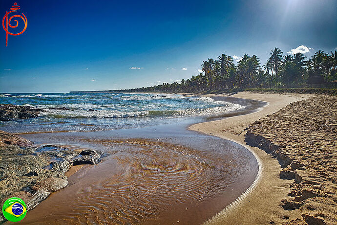 Re: Salvador - Tour des plages et Tortues - Ivan Bahia Guide