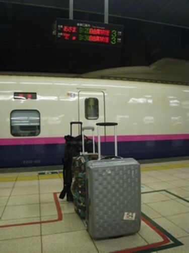 Re: Bagages et train entre Tokyo et Osaka - marie_31