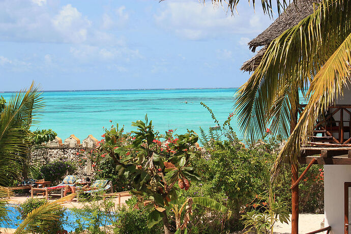 Re: Hôtel Stone Town et Jambiani à Zanzibar  - Philippe Thouvenot