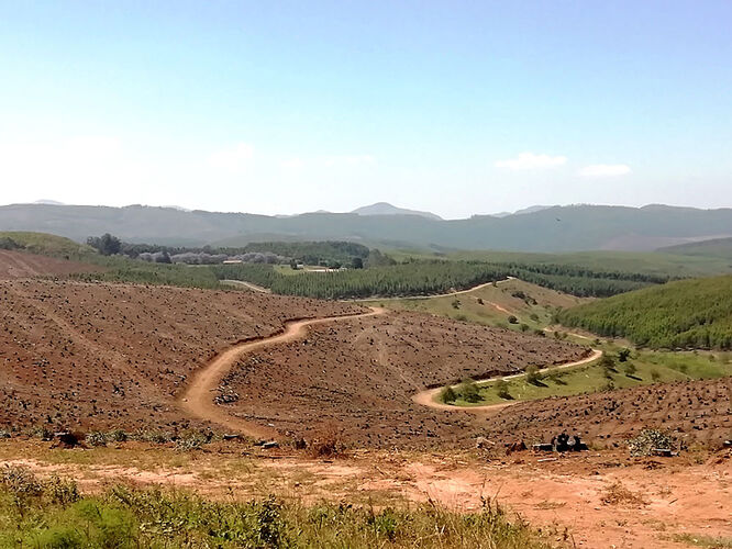 Re: Au paradis ! Compte rendu d'un voyage de 2 petites semaines en Afrique du Sud - L-argonnais Re: Au paradis ! Compte rendu d'un voyage de 2 petites semaines en Afrique du Sud - L-argonnais