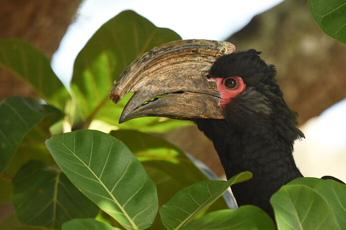 Re: Au paradis ! Compte rendu d'un voyage de 2 petites semaines en Afrique du Sud - L-argonnais Re: Au paradis ! Compte rendu d'un voyage de 2 petites semaines en Afrique du Sud - L-argonnais