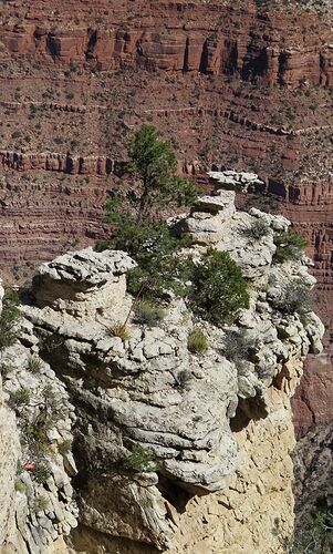 USA retour d'Ouest : Grand Canyon - PATOUTAILLE