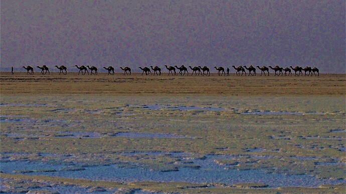 Lac Assal, rencontre avec le peuple Afar! - Rencontres et Voyagite