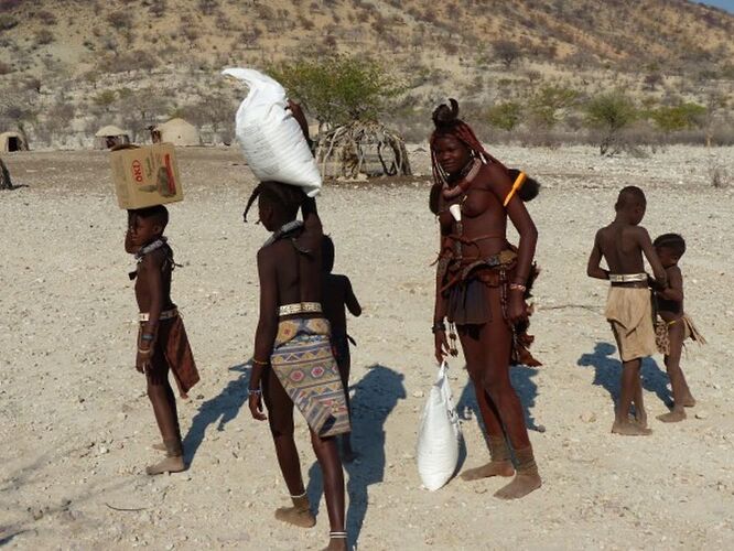 Re: 3 fabuleuses semaines Namibiennes- juillet 2021 - Patbillvoyage