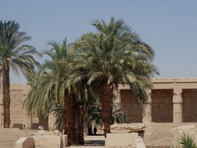 Mes impressions sur Luxor ! - Brigitte42