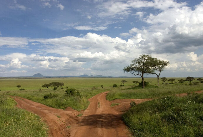 Ngorongoro, Tarangire, etc. - BLESL