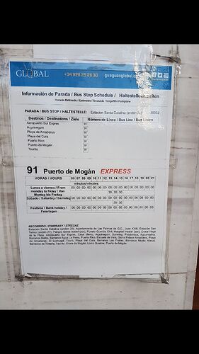 Re: Quelle plage et quel arrêt de bus au sud des Canaries ?  - Vanila