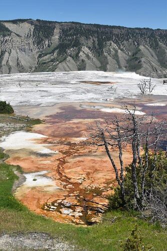 Re: Deux nouveaux coups de foudre : la star Yellowstone et le discret Valley of fire - katia1372