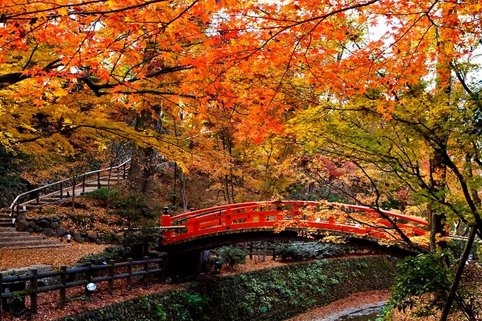 Re: Dans quels quartiers loger à Kyoto? - Jacky10