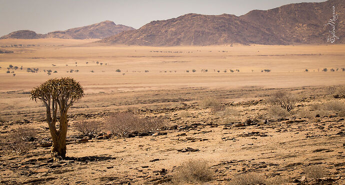 Voyage de 3 semaines en Namibie en oct/nov 2018 - SoleilM