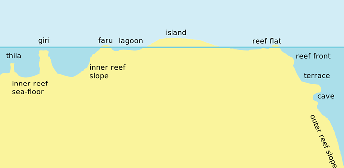 Topographie récifal pour le Snorkeling - Philomaldives  Guide  Maldives