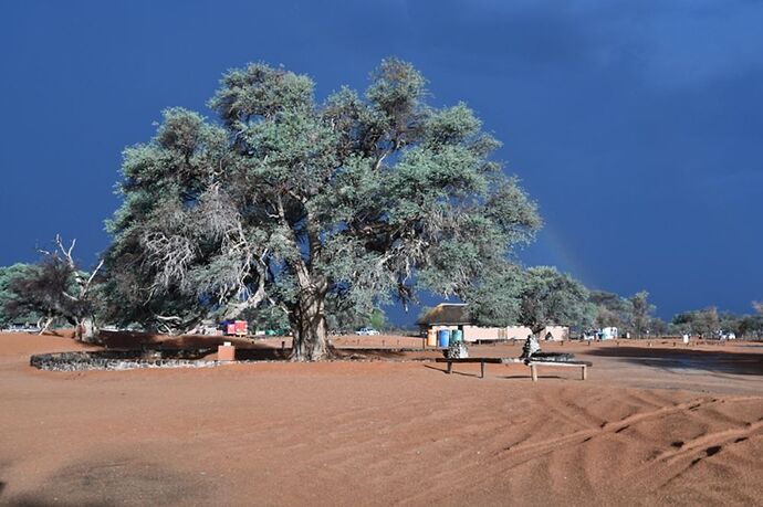 Re: Namibie - 15 jours en octobre 2018 - pascal41lc