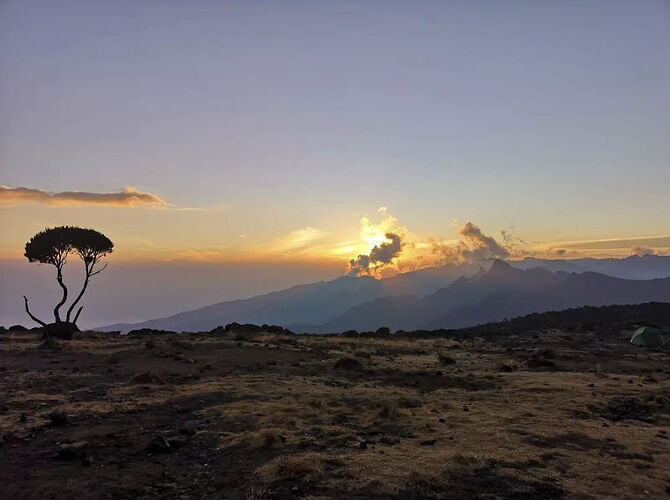 Re: Ascension Kilimandjaro + Safari KIWOITO AFRICA SAFARIS - hwg