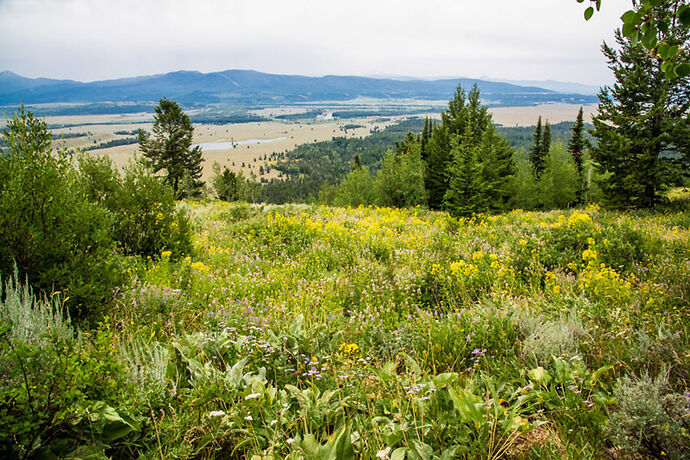 Mardi 25 Juillet – Grand Teton National Park - darth